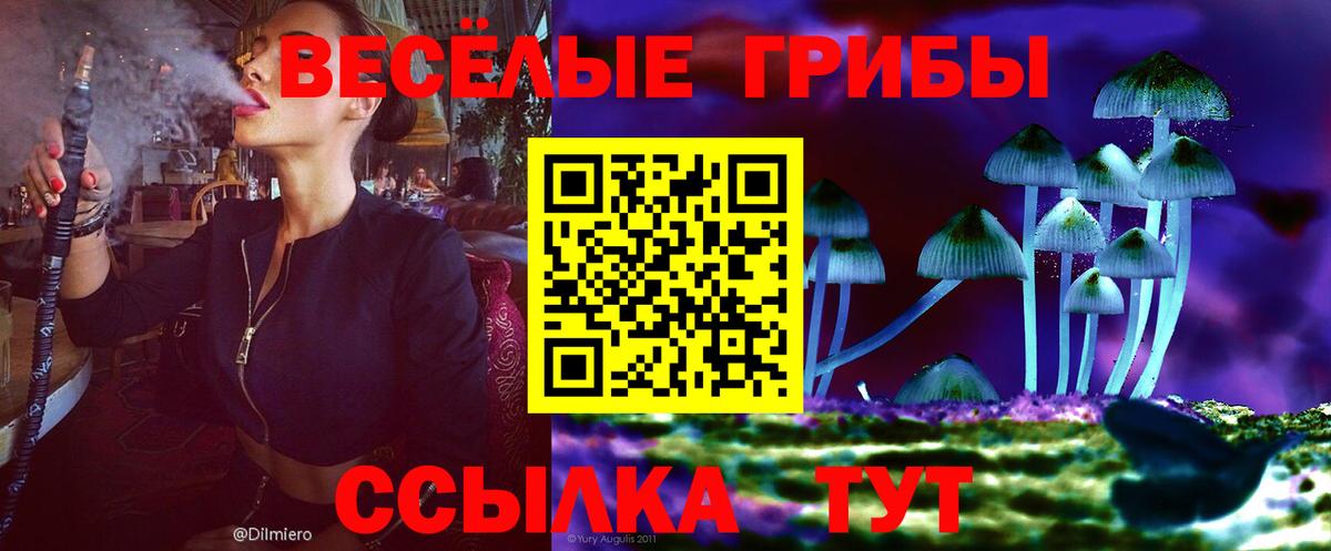 Сердобск  Псилоцибиновые грибы Psilocybe  Вход с VPN 