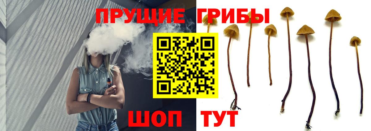 Псилоцибиновые грибы мухоморы Сердобск